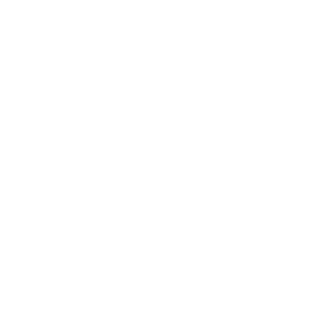 Liberty Bay Recovery logo transparent 825x825